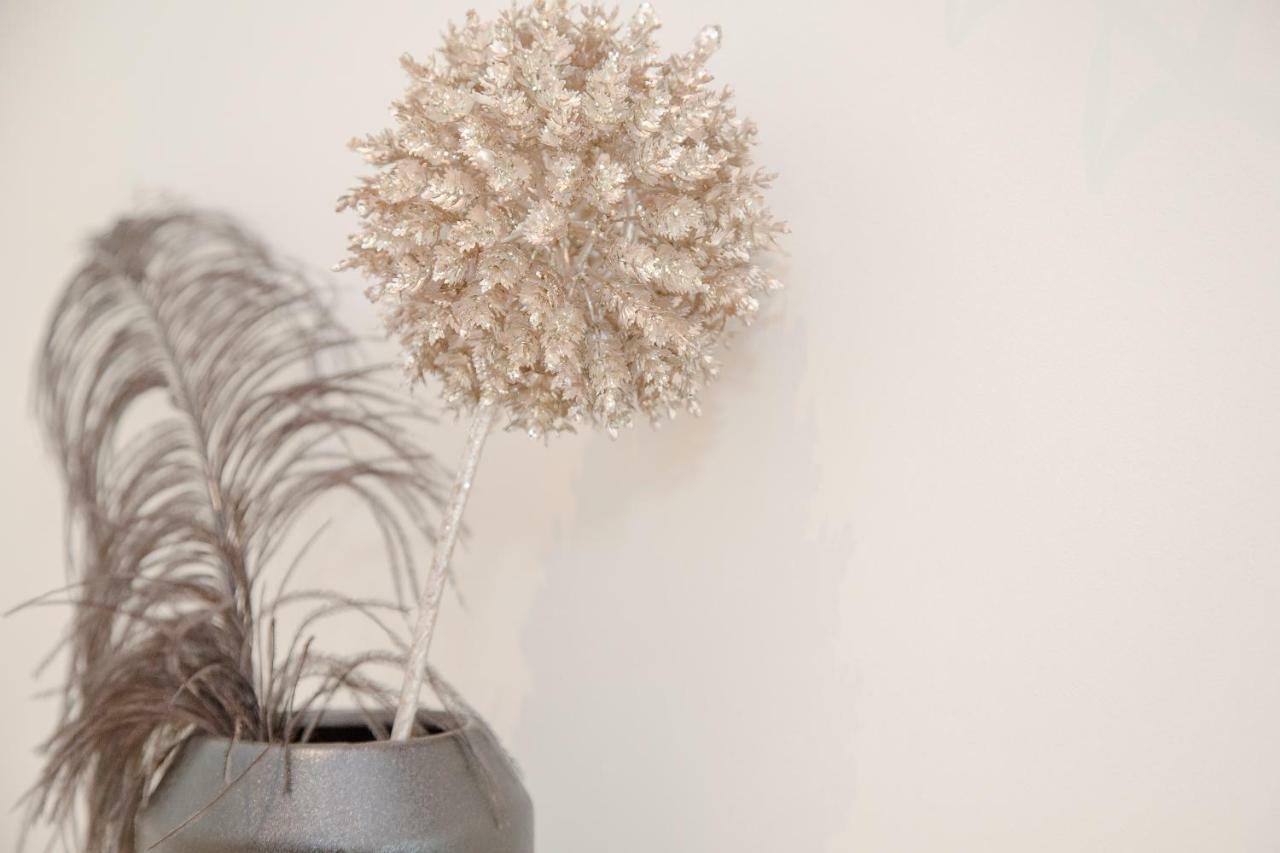Liiiving In Porto - Cozy & Chic Downtown Apartment ภายนอก รูปภาพ