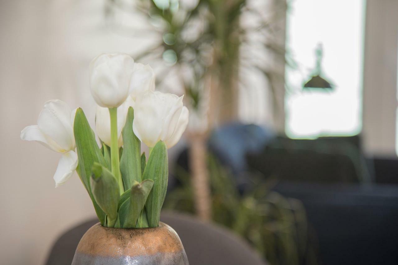 Liiiving In Porto - Cozy & Chic Downtown Apartment ภายนอก รูปภาพ